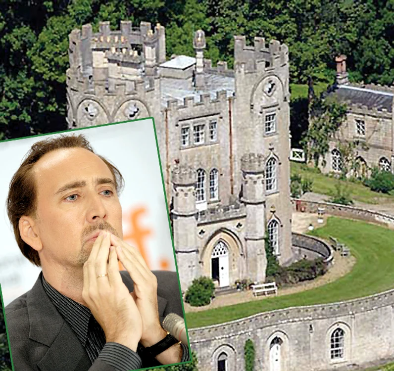 
    Dacă nu-şi va plăti urgent taxele, Nicolas Cage va ajunge după gratii  