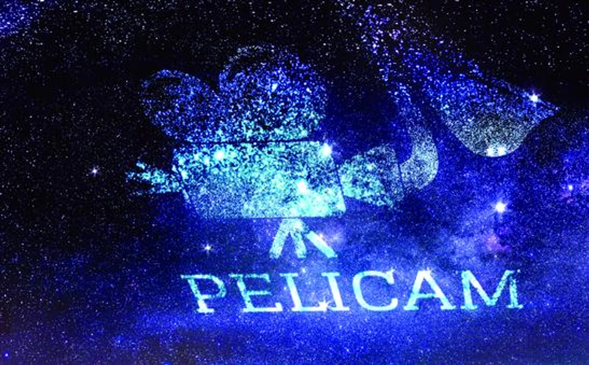„Direcţia documentaristă militantă“ jpeg