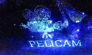 „Direcţia documentaristă militantă“  jpeg