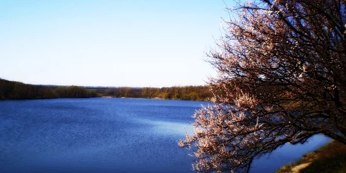 Novhorodske wikipedia