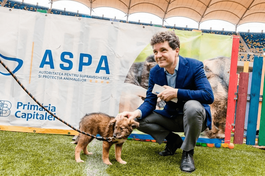 PSD cere demisia lui Nicușor Dan. Ce spunea primarul general despre probleme câinilor