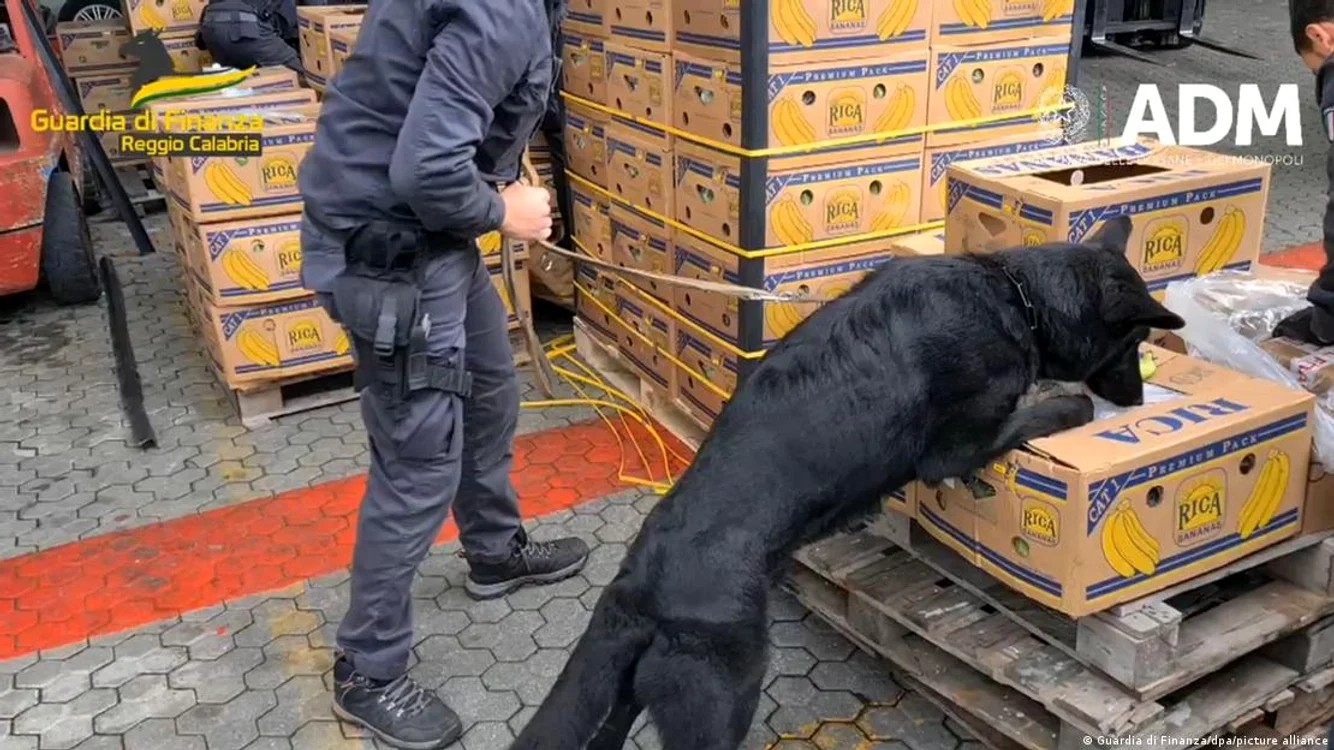 'Ndrangheta deține monopolul asupra traficului de cocaină în Europa / foto: Guardia di Finanza