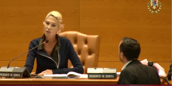 scandal Camera deputatilor captura FB png