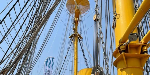 Nava scoala Mircea 