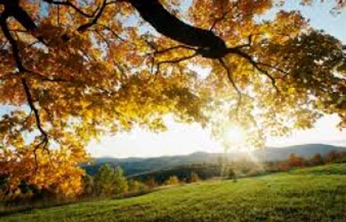 
    Prognoza meteo 23 septembrie anunță vreme frumoasă în majoritatea regiunilorFoto: Arhiva Click!  