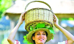 CLIIMA20091102 0174 1 jpeg