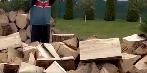 Lukasenko se filmeaza taind lemne FOTO Twitter jpg