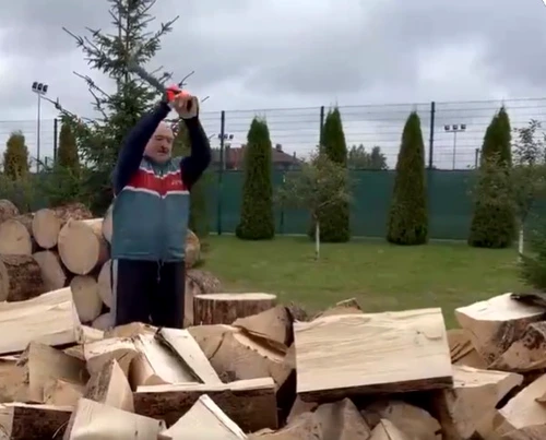 Lukasenko se filmeaza taind lemne FOTO Twitter jpg