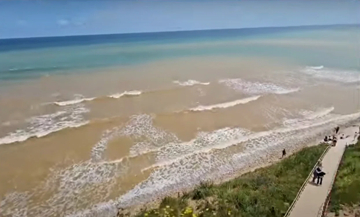 Apa Mării Negre s-a răcit brusc în plin sezon estival.
