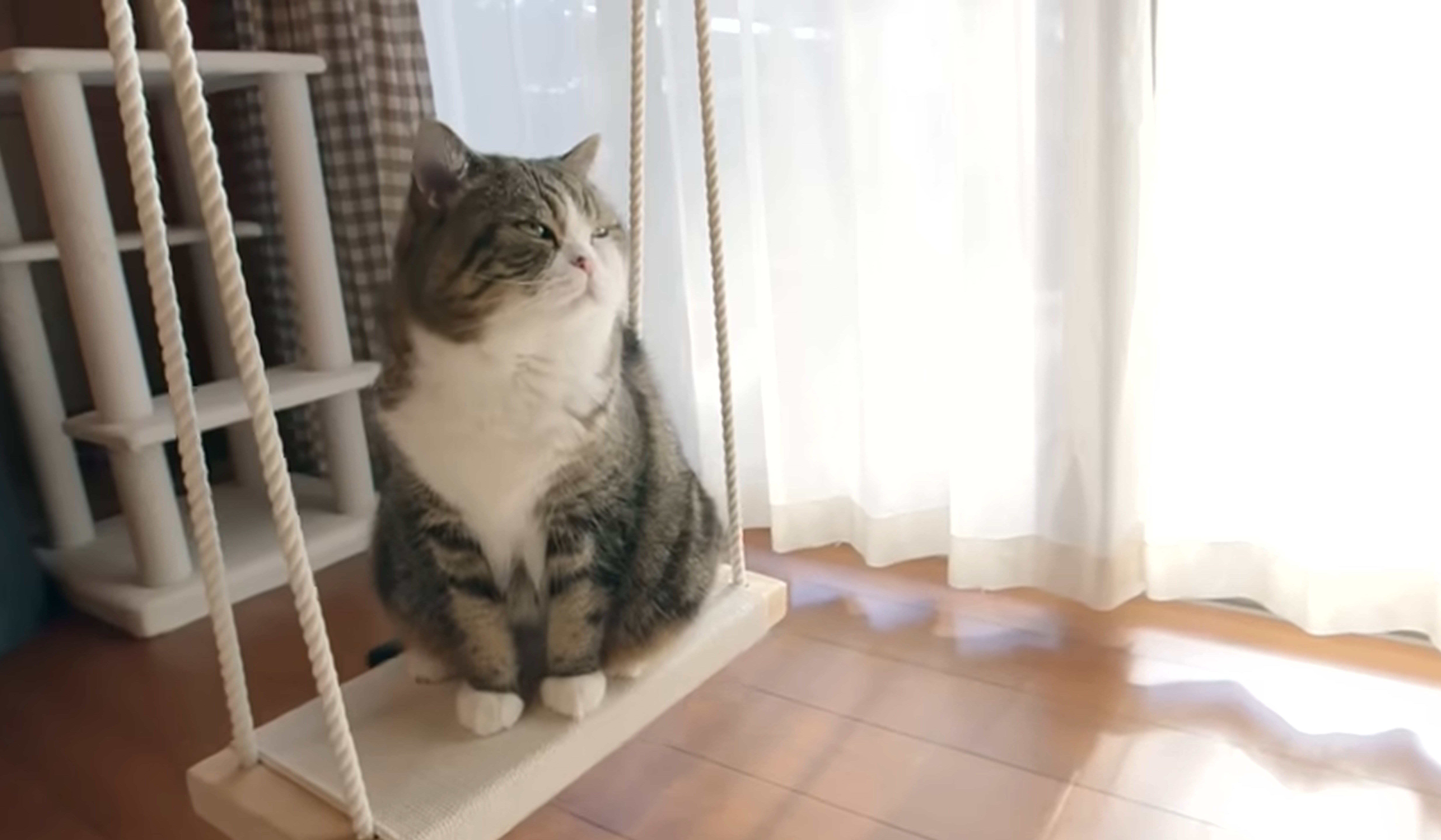 maru japonia jpg