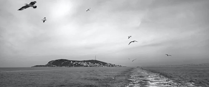 Insula Null, locul misterios unde coordonatele geografice sunt zero / foto: Pexels