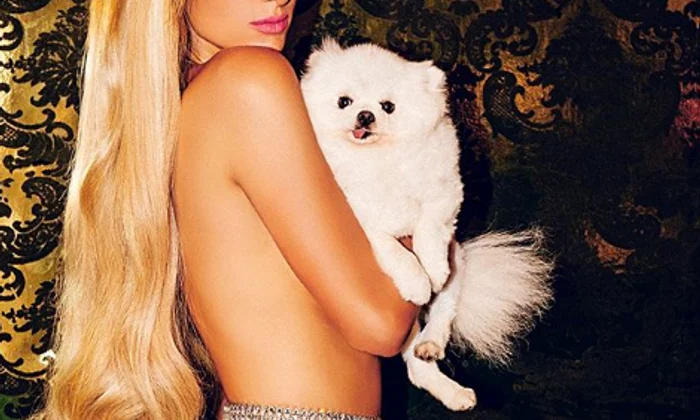 paris hilton 1 png