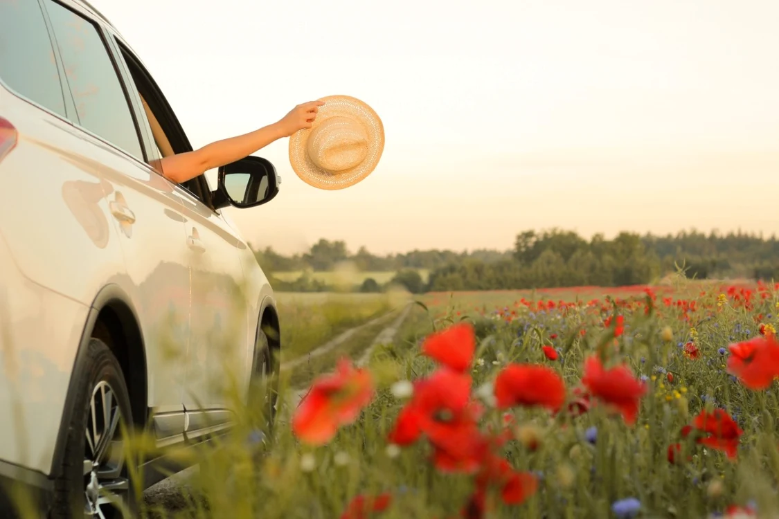 Foto: Shutterstock (Arhivă)