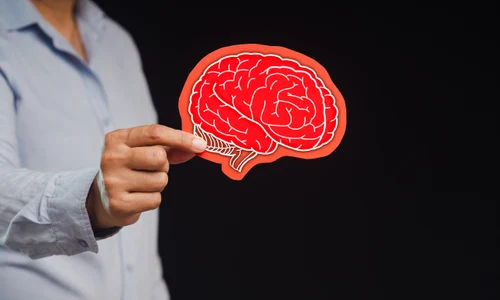 shutterstock 2349875353 jpg