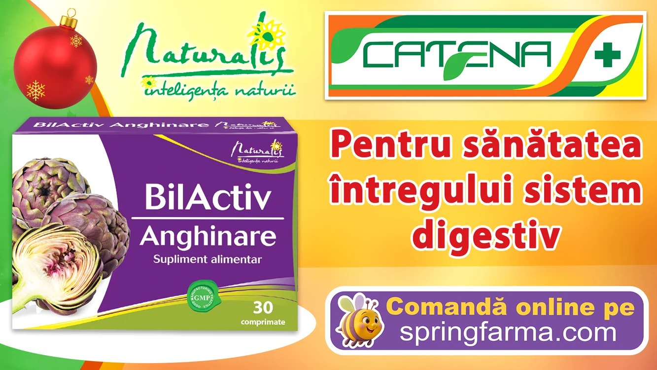 BilActiv anghinare 1920x1080 px jpg