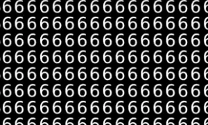 6 si 9 jpg