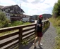 Aşa arată potecile de plimbare de la Fundata SURSA FOTO Costel Crângan