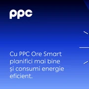 PPC Adevartul Adv 1 foto png
