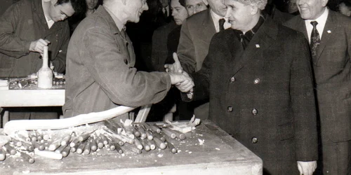 Vizita de lucru a lui Nicolae Ceauşescu la fabrica de mobilă din Arad (© „Fototeca online a comunismului românesc”, Cota: 8/1972)
