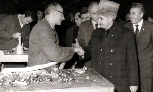 Vizita de lucru a lui Nicolae Ceauşescu la fabrica de mobilă din Arad (© „Fototeca online a comunismului românesc”, Cota: 8/1972)