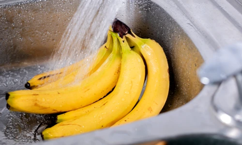 shutterstock 2404002023 jpg