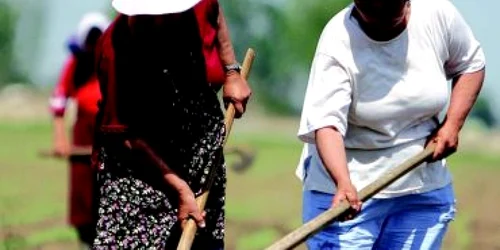 Agricultorii afectaţi de recesiune nu au obţinut niciun ban din Fondul european de intervenţie pentru perioada de criză