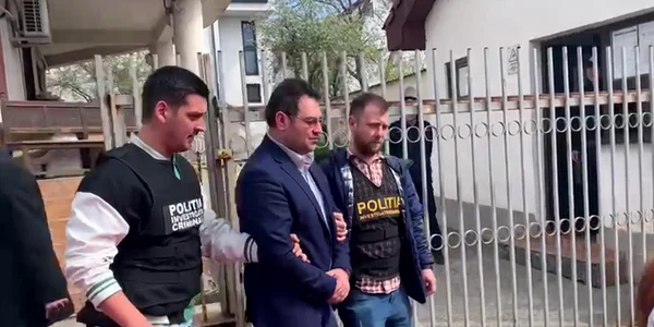 Alin Demetrian jpeg
