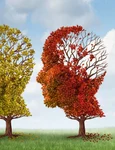 demența  foto   Shutterstock jpg