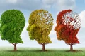 demența  foto   Shutterstock jpg