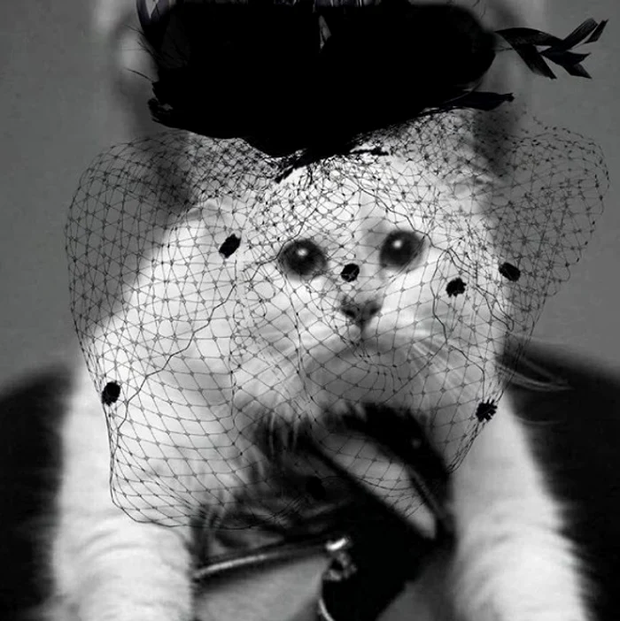 1 choupette lagerfeld jpg jpeg