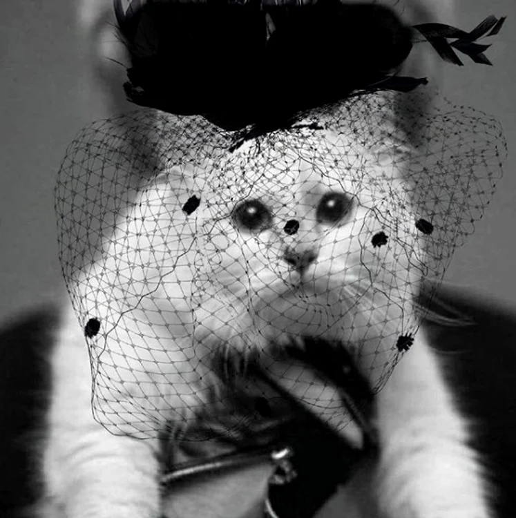 1 choupette lagerfeld jpg jpeg