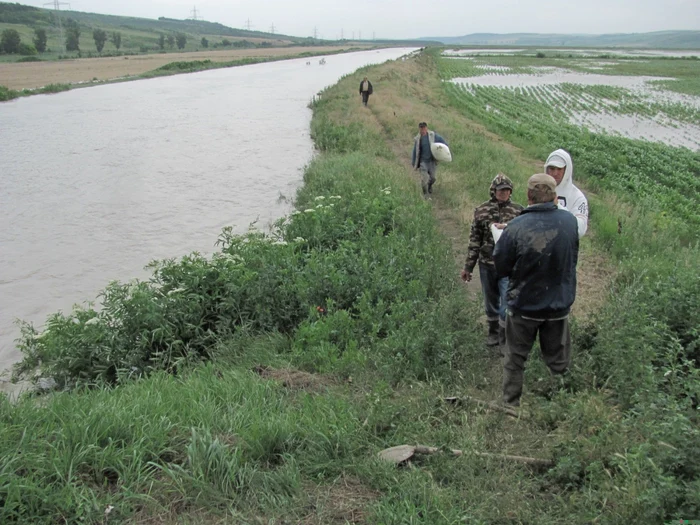 Oamenii au încercat să oprească apa cu saci plini de nisip FOTO:adevarul