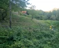 Satul Tomnatec din Hunedoara Foto Daniel Guță ADEVĂRUL (9) jpg