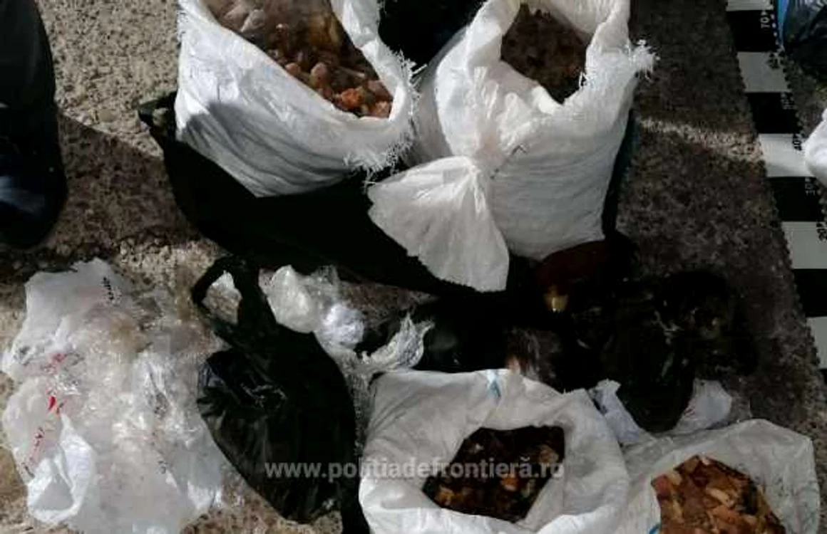 Mai mulţi saci cu pietre semipreţioase au fost confiscaţi. Sursă foto: Poliţia de Frontieră