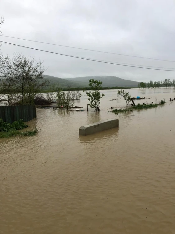 inundatii vaslui