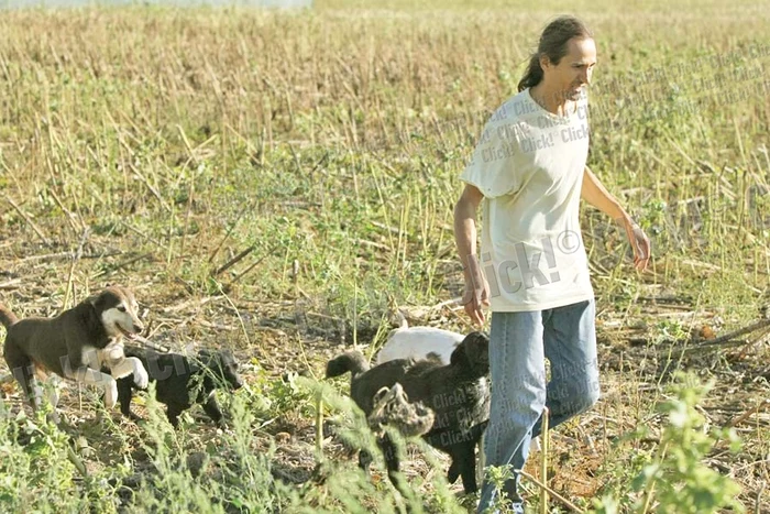 Tunari: Cu ajutorul cititorilor  Click!, Cornel a închiriat  un camion şi şi-a luat  căţeii din complexul  de la marginea Capitalei (Fotografii: Dorin Constanda)