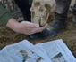 Foto: Facebook / Muzeul Județean de Istorie și Arheologie Prahova