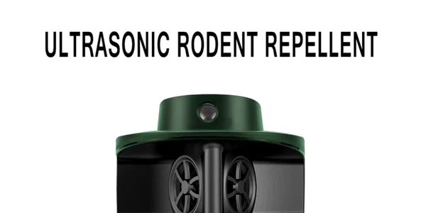 sss