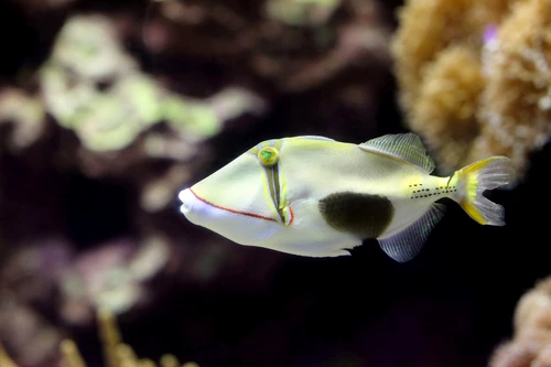 shutterstock 213396844 jpg jpeg