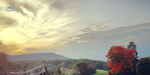 iphone best pictures