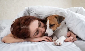 shutterstock 2209074113 jpg
