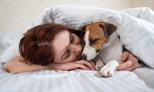 shutterstock 2209074113 jpg