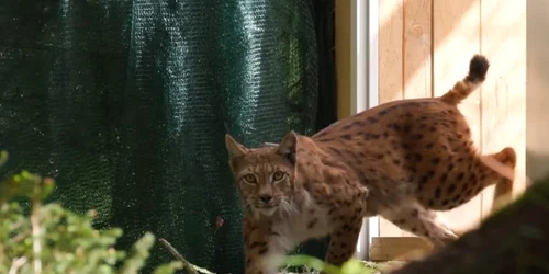 WhatsApp Image 2024 05 21 at 15 13 03 jpeg