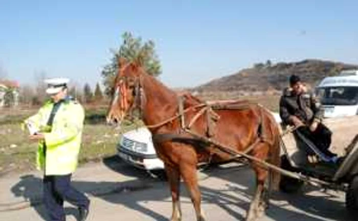 Căruţaşii sunt un pericol public pe străzile din oraş