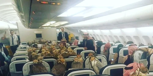 Soimi la bordul unui avion din Arabia Saudita FOTO Lensoo/Reddit