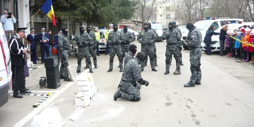 politie tulcea