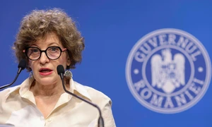 Briefing de presă privind reorganizarea mai multor companii de stat organizat de vicepremierul Oana Gheorghiu, în București. FOTO Inquam Photos / Octav Ganea