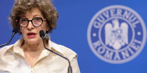 Briefing de presă privind reorganizarea mai multor companii de stat organizat de vicepremierul Oana Gheorghiu, în București. FOTO Inquam Photos / Octav Ganea