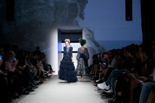 8 miau by clara rotescu 1 jpg jpeg