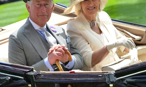 charles profimedia jpg